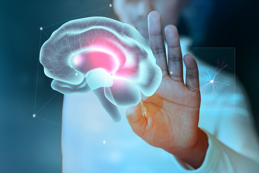 Neuroscience Billing in Tallahassee: Expert Solutions